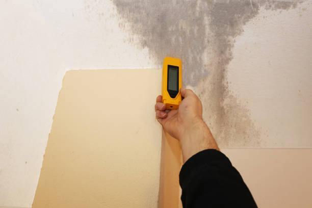Best Residential Mold Inspection & Testing  in Brentwood, MO