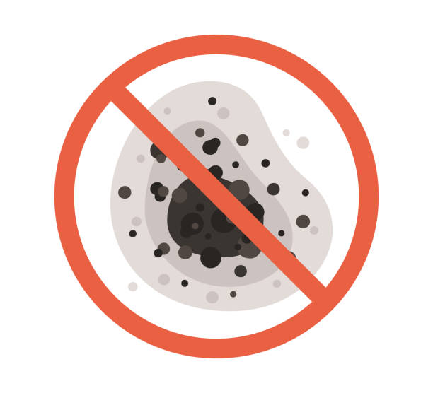 Best Mold Odor Removal Services  in Brentwood, MO