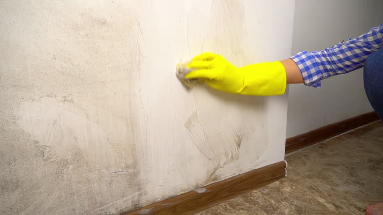 Best Mold Removal for HVAC Installations  in Brentwood, MO